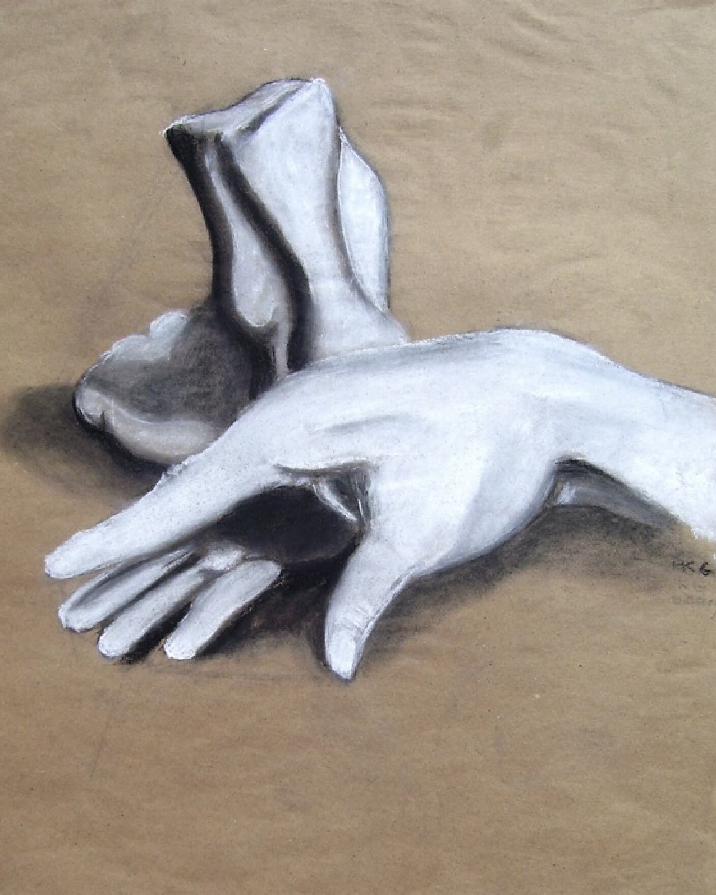 Hand Study