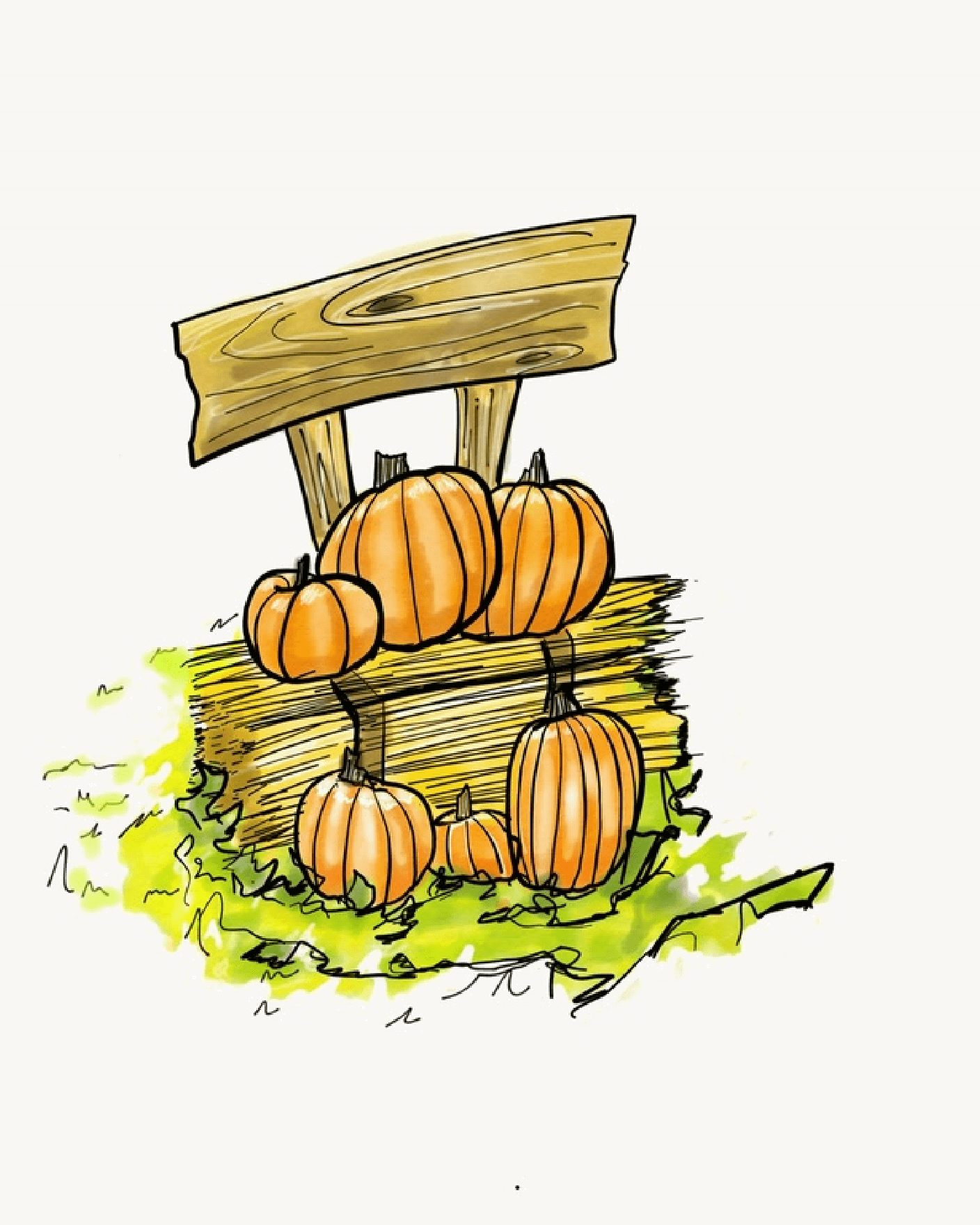 Pumpkin Patch Illustration